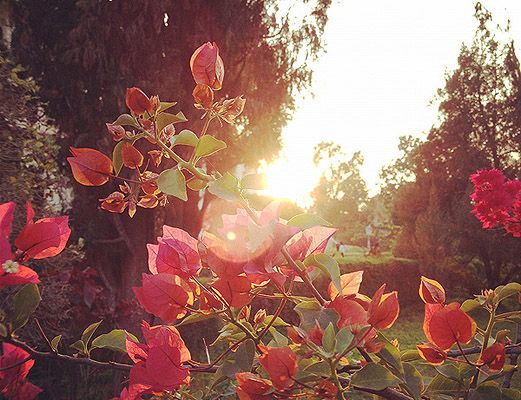 School Building View